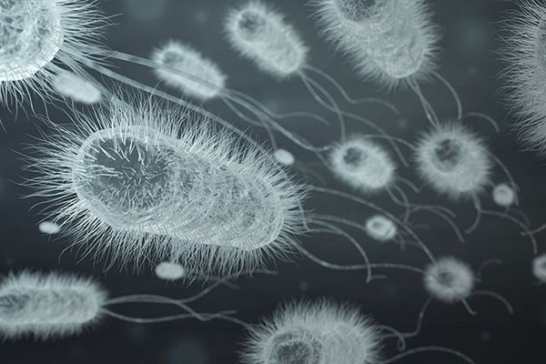 bacteria-infection-background-2024-09-22-10-18-36-utc.jpg bacteria-infection-background-2024-09-22-10-18-36-utc.jpg
