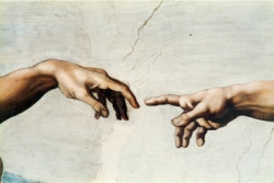 Hand vs Arm