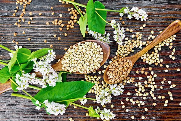 buckwheat-green-and-brown-in-spoons-on-dark-board-2024-09-13-23-12-49-utc.jpg buckwheat-green-and-brown-in-spoons-on-dark-board-2024-09-13-23-12-49-utc.jpg