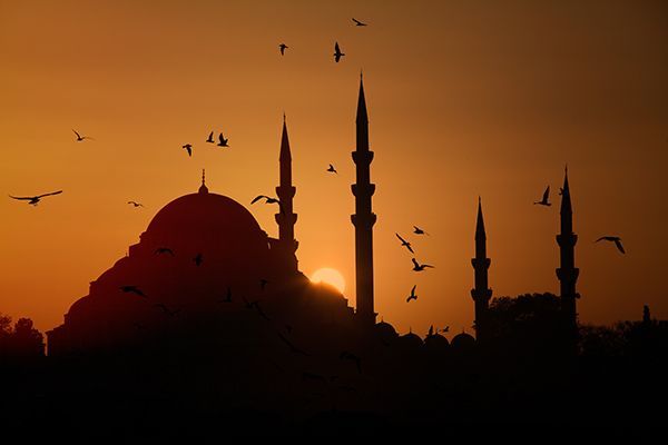 istanbul-mosque-at-sunset-and-the-seagulls-2023-11-27-05-08-28-utc.jpg