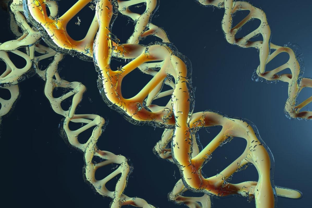 отличие ЖИВОГО от НЕЖИВОГО отличие ЖИВОГО от НЕЖИВОГО